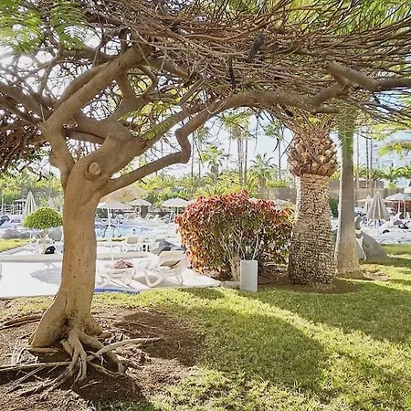 شقة Altamira Paradise أذيخي