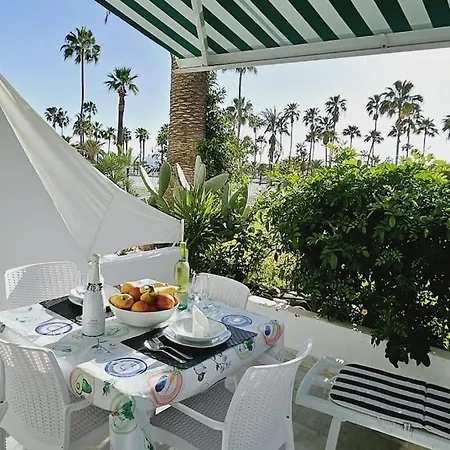 Altamira Paradise