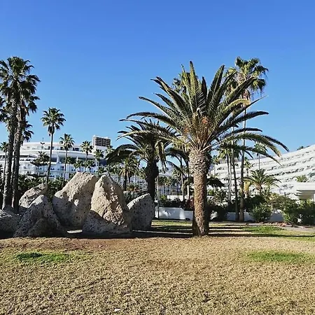 Altamira Paradise *